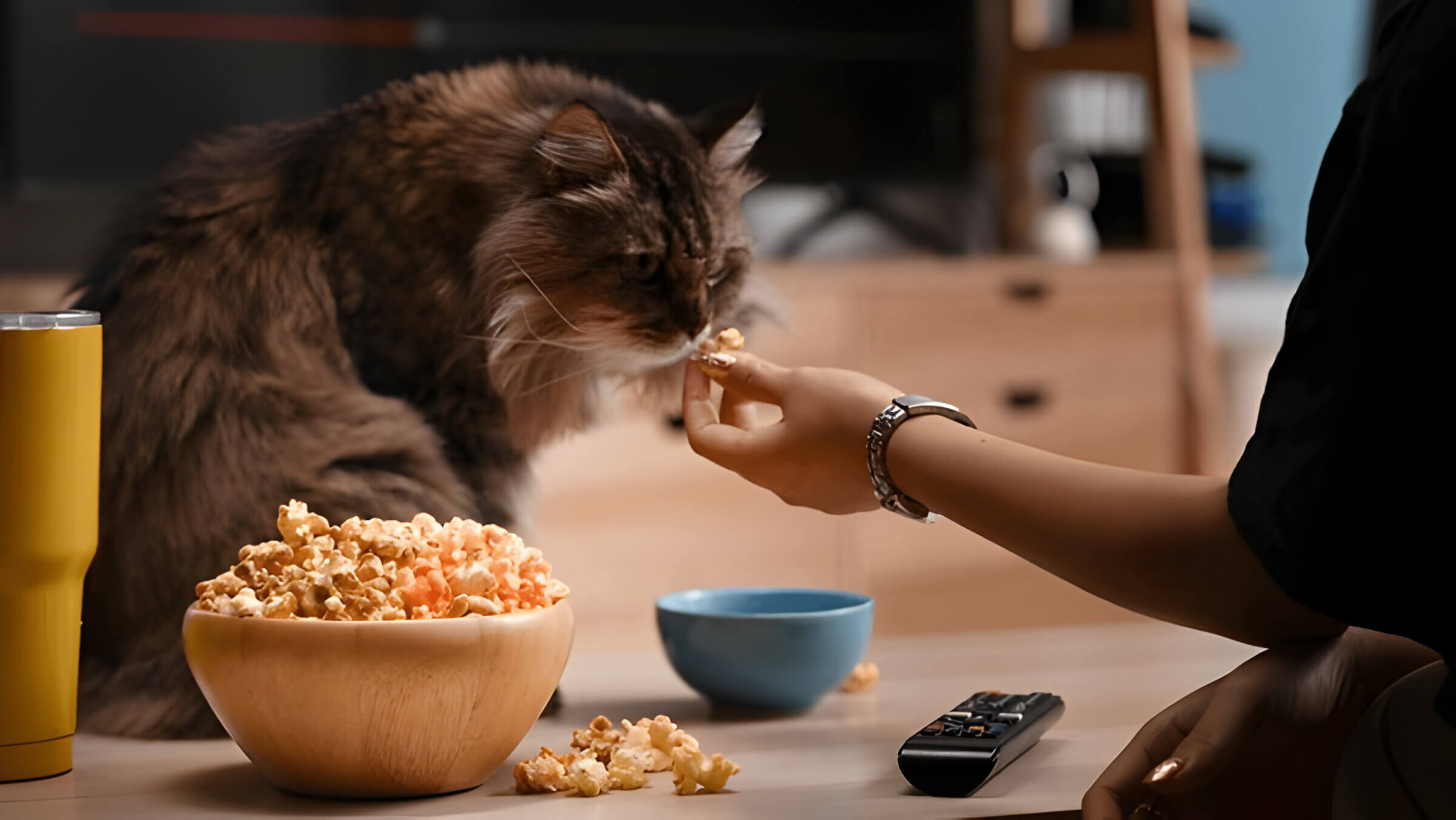 Can Cats Eat Popcorn A Caring Pet Owners Guide To Feline Snacks