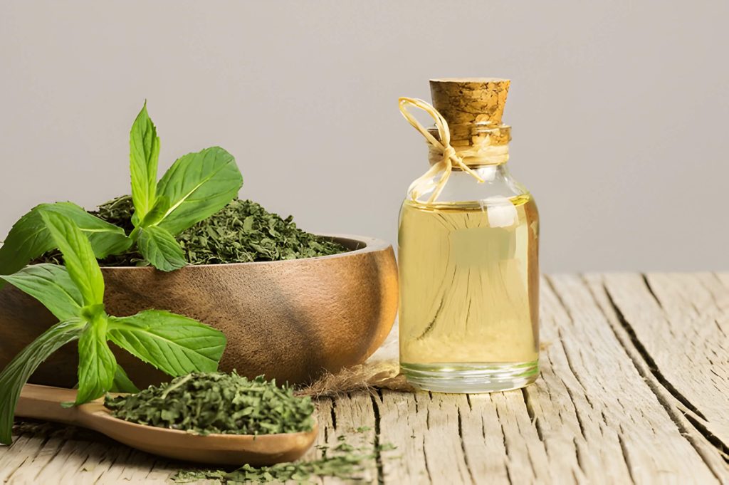 Is Peppermint Oil Safe For Cats Potential Risks Of Peppermint Oil For Cats